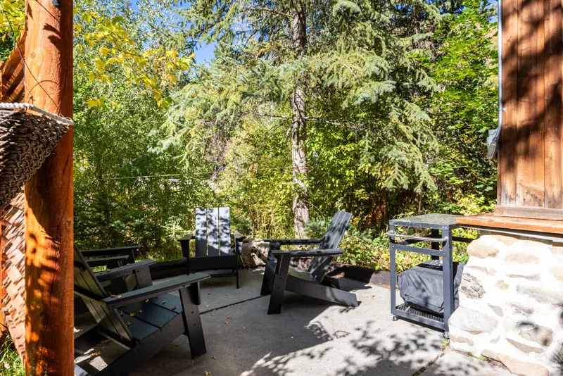 Stone patio under the pines